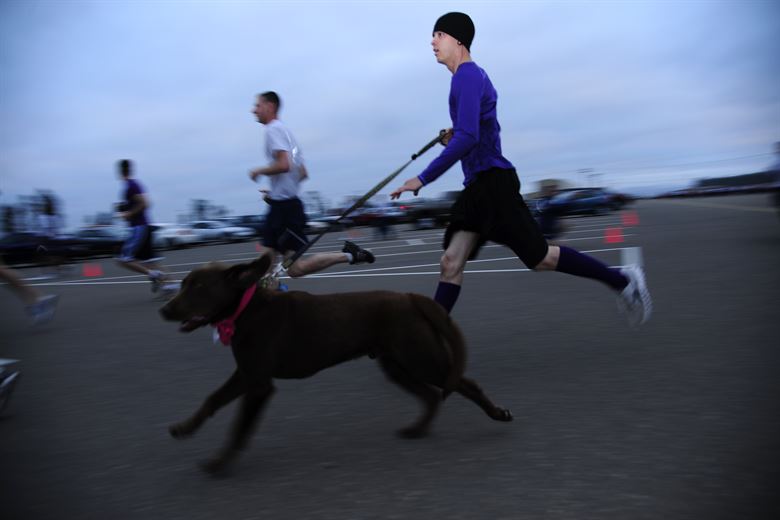 dog running with his owner on a leash