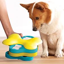 dog puzzle toys