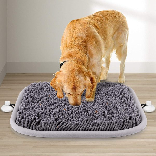 Ten Best Puzzle Toys for Dogs Barkercise