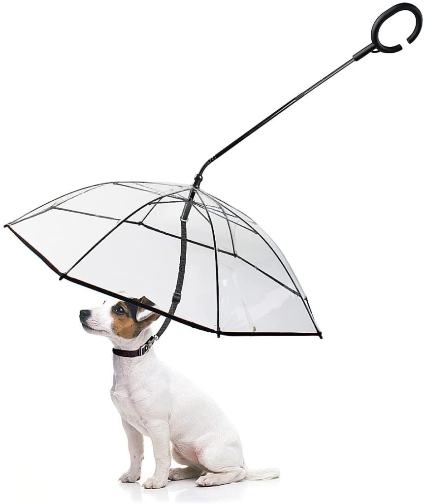 Essential Dog Walking Gadgets and Gear Barkercise